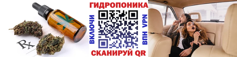 закладки  Андреаполь  Canna-Cookies конопля 