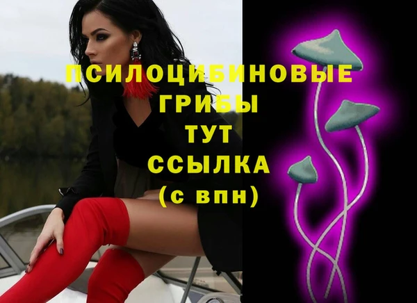 кокс Алексеевка